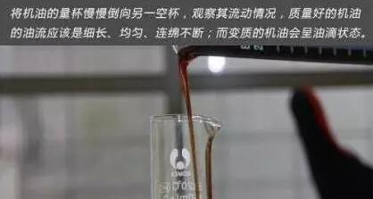 1515116792410867.jpg 10.jpg