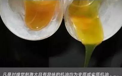 1515116838239127.jpg 13.jpg