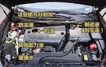 1521198337299070.jpg 1.jpg