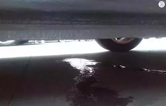 1541749656823154.jpg 1.jpg